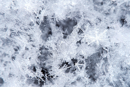 自然环境中的雪花宏 笑声花圈场景季节性白色风景雪原薄片闪光天气雪堆图片