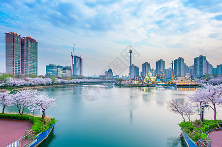 韩国城市风景与洛天世界和樱花节图片