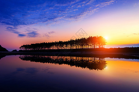 太阳落山时的木头和反射沼泽日落池塘松树镜子观光阳光天空戏剧性树木图片