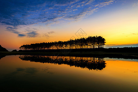 太阳落山时的木头和反射树木戏剧性阳光日落观光池塘沼泽镜子天空松树图片