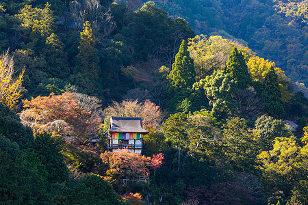 亚林山季节叶子蓝色树叶森林旅行图片