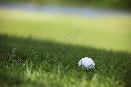 高尔夫球在航道上游戏俱乐部热带绿色草地场地课程运动图片