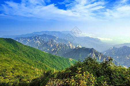 Seoraksan国家公园 南朝鲜最好的山峰顶峰巨石树木旅行悬崖公园松树岩石旅游荒野图片
