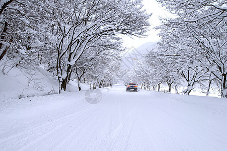 汽车和冬季下雪 在森林路上 有很多雪树木场景暴风雪危险季节降雪车道风景越野车小路图片