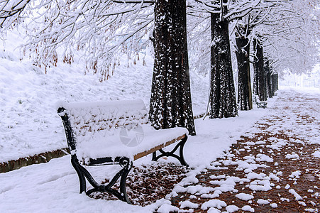 长椅和树木的景象与降雪场景蓝色寒冷雪景季节寒意森林季节性雪花冬令图片