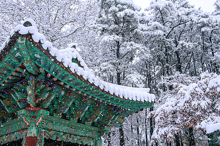 冬季风景与庆博中京的屋顶 南韩首尔降雪晴天天空太阳乐趣行动白色娱乐乡村冻结木头图片