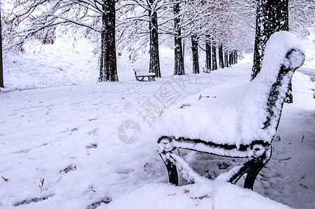 长椅和树木的景象与降雪木头季节性下雪风景雪花雪景森林寒意场景寒冷图片