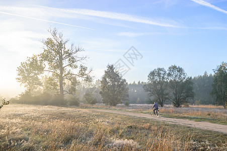 湖附近的雾墙纸叶子季节天气薄雾阳光天空场地旅行蓝色图片