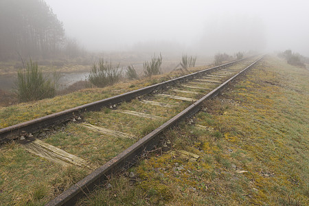 荷兰的旧铁路波尔肯斯班课程铁轨枯槁动物群金属镇流器枕木纪念碑路基碎石横梁图片