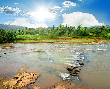 丛林中的河流假期荒野旅游森林旅行溪流石头日落环境流动图片