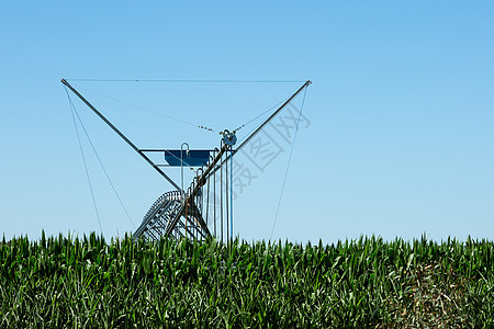 大型横向移动式灌溉系统小麦技术洒水器车轮机器环境压力飞沫农业薄雾图片