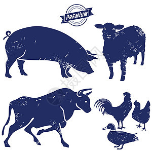 肉制品牌羊肉公鸡营销家禽牛肉母鸡商业猪肉农场鸭子图片