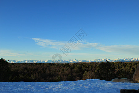 自然特性22022016星星天空极光摄影北极星风景天文学照片树木旅行图片