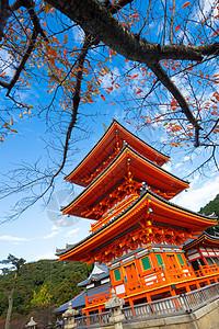 京都的日本神庙清水祖德拉清水旅行公园建筑学文化神道精神建筑花园旅游图片