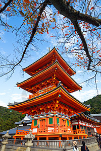 京都的日本神庙清水祖德拉神道树叶神社花园旅游遗产文化寺庙叶子橙子图片