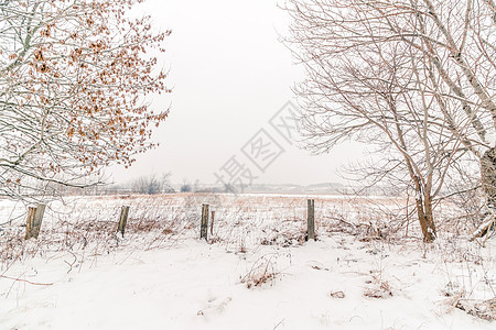 带围栏的乡村冬季风景图片