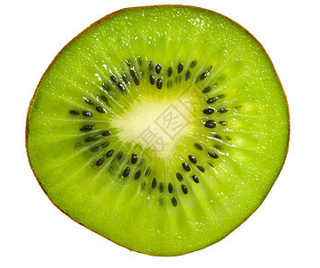 Kiwi 切片宏图片