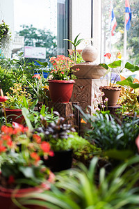 温柔的小型花园绿色桌子露台花朵建筑学植物院子石头后院房子图片