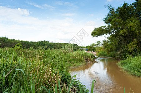 阳光照耀的自然运河池乡村天空风景国家王国绿色蓝色季节图片