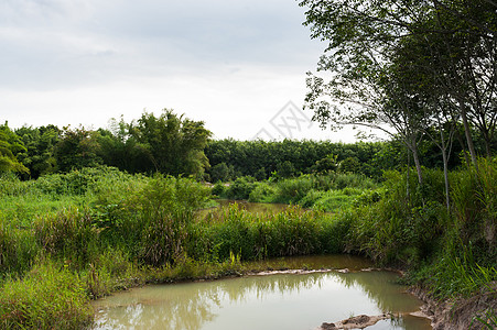 阳光照耀的自然运河池绿色风景王国天空季节蓝色国家乡村图片