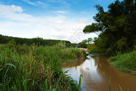 阳光照耀的自然运河池天空蓝色王国乡村国家季节风景绿色图片