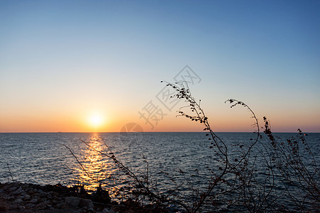 日落时 灰暗处有干草橙子岩石海岸太阳海滩阴影植物日出分支机构海洋图片