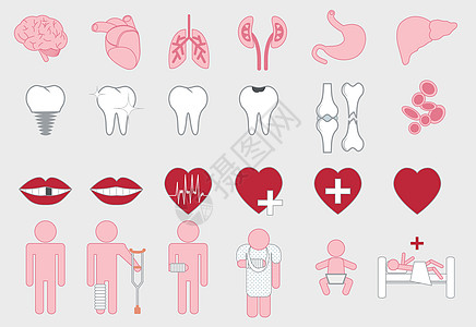 人体器官的医学图标与身体设置假肢生物学肾脏肌肉药品图表胆囊艺术插图信息图片
