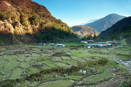 赫马拉扬山丘的稻田山坡高地栽培场地农村旅行植物热带农业生产图片