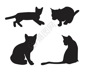 孤立在白色背景上的猫剪影集女性艺术团体哺乳动物宠物猫科动物卡通片插图黑色图片