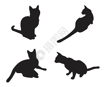 孤立在白色背景上的猫剪影集插图动物黑色宠物小猫草图哺乳动物收藏艺术卡通片图片