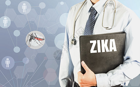 关于蚊虫的现代医学背景文件文档档案词ZIKA ZIKA图片