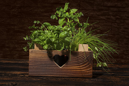 木箱里的草药园艺盒子香菜花园植物迷迭香草本香葱薄荷百里香图片
