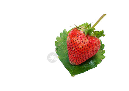 生草莓水果饮食白色食物营养红色叶子植物绿色宏观图片