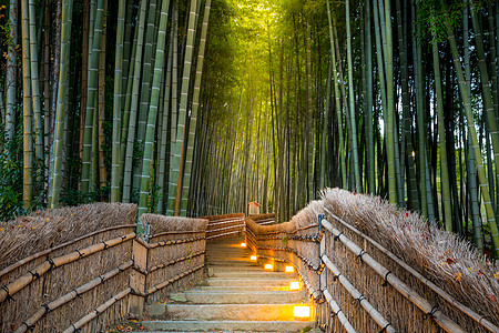 Arashiyama 竹木林植物森林小路游客地标热带文化丛林传统叶子图片