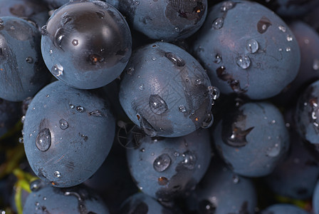 红葡萄藤蔓浆果季节水果果汁收成葡萄园营养农业食物图片