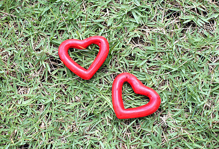 两颗红心在草地上场地宏观白色红色绿色玫瑰背景图片