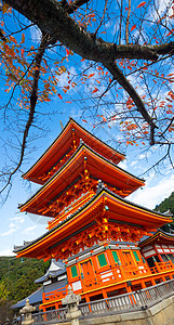 京都的日本神庙清水祖德拉宝塔宗教橙子神社公园建筑学崇拜历史性旅行花园图片
