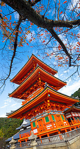 京都的日本神庙清水祖德拉宝塔宗教橙子神社公园建筑学崇拜历史性旅行花园图片