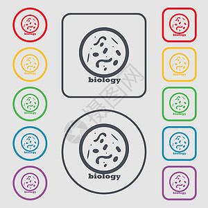 显微镜图标符号下的细菌和病毒疾病生物学细胞 带有框架的圆形和方形按钮上的符号 韦克托图片