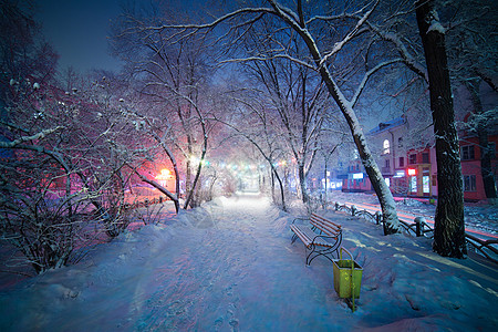 冬季仙境 带长凳的夜间胡同 美丽的光线和氛围 这条路在这张图片中创造了深度 让观众的眼睛进入场景 冬天风景 愉快的心情和颜色图片