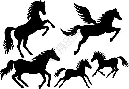 马马背动物农场骑术跳跃绘画跑步小马野马头发图片