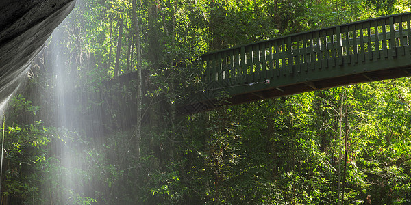 平静瀑布绿色叶子阳光边界风景旅行溪流森林环境海岸图片