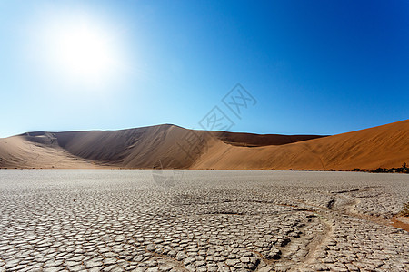 纳米布沙漠中隐藏的武列沙丘孤独沙漠纳米布阴影木头晴天橙子死亡平底锅天空图片