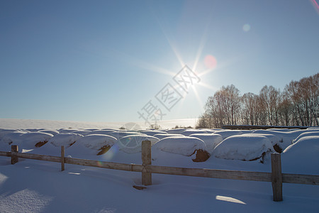 在雪下冬季田里的干草场里 农场里的干草堆图片