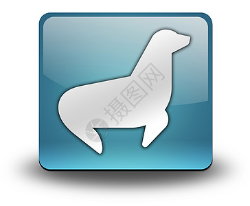 图标 按钮 象形海豹动物哺乳动物文字旅游贴纸观众展示指示牌水族馆野生动物图片