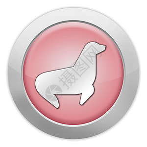 图标 按钮 象形海豹海狮水生指示牌展示动物园海象游客海洋哺乳动物动物图片