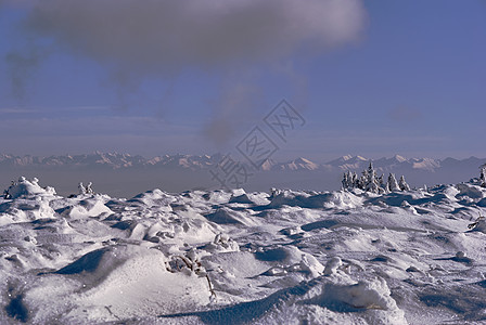 波兰冬季塔特拉山脉的雪覆盖温泉景观 波兰森林山脉薄雾天空地平线岩石云杉草地雪堆图片