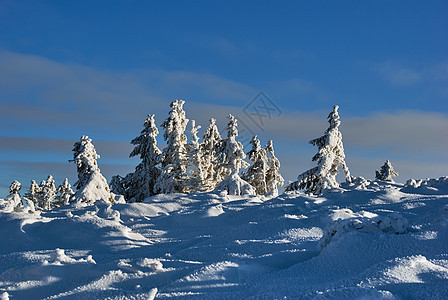 冬季波兰贝斯基迪山的雪覆盖了山脉中的积雪草地云杉雪堆天空地平线岩石森林薄雾图片