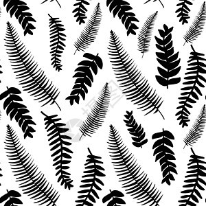 手工画出黑色和白色的精细装饰性陈年树叶植物民间墨水荒野插图邮票国家涂鸦潮人铅笔图片