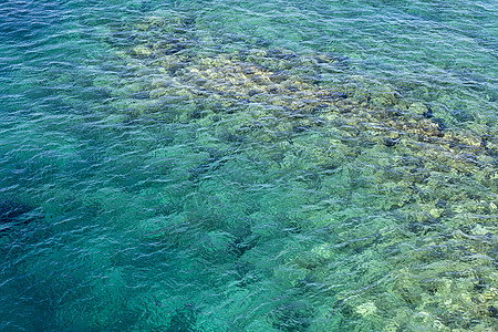 绿化海水表面背景表层图片